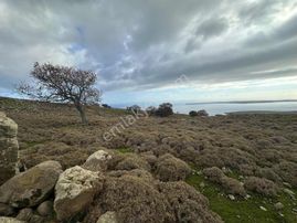 İmroz Emlak'tan Güzelcekoy'da Yol Kenarı 4.148 M2 Tarla