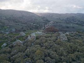 İmroz Emlak'tan 2.053 M2 Muhteşem Deniz Manzaralı Tarla