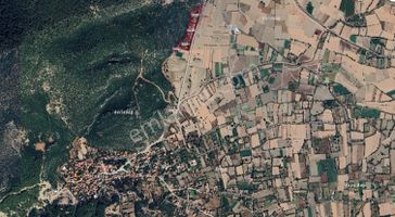 Arslanbey Emlaktan Satılık Ceviz Bahçesi