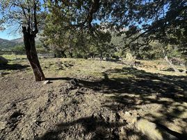 İmroz Emlak'tan Pigadya Mevkii'de Resmi Yol Kenarı Tarla