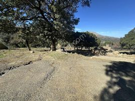 İmroz Emlak'tan Pigadya Mevkii'de Resmi Yol Kenarı Tarla