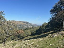 İmroz Emlak'tan Pigadya Mevkii'de Resmi Yolu Olan Tarla