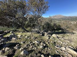 İmroz Emlak'tan Pigadya Mevkii'de Yol Kenarı Bahçe