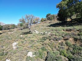 İmroz Emlak'tan Pigadya Mevkii'de Resmi Yolu Olan 2.439m2 Tarla