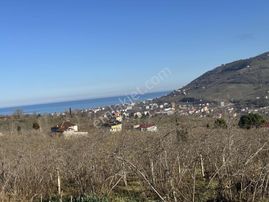 Vizyon'dan Fırsat Satılık Arazi