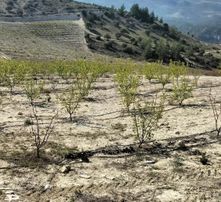 New Form'dan Mut Haydarköy Mahallesi'nde 35779 M2 Satılık Bahçe