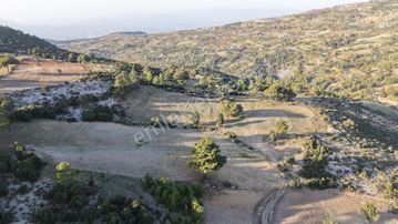 Cb Giz'den Seydikemer Arsaköy'de Satılık Parseller