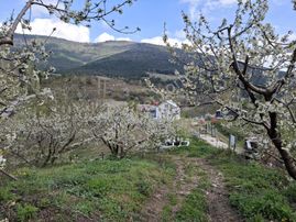 Bayındır Osmanlar Mahallesinde Satılık Dallas Çiftliği