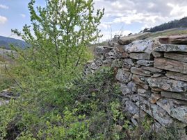 Bayındır Osmanlar Mahallesinde Satılık Dallas Çiftliği