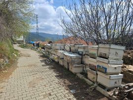 Bayındır Osmanlar Mahallesinde Satılık Bahçe