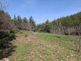 Bayındır Dernekli Mah.anayola Cepheli Satılık Tarla