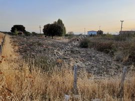 Dikili Satılık Tarla On Gün Fiyat Düştü