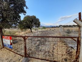 Dikili Satılık Tarla On Gün Fiyat Düştü