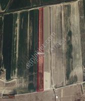 Denize Yakın Yola Cephe Yatrımlık Kupon Tarla