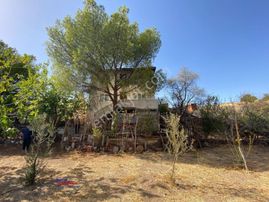 Ayvalık Üçkabaağaç' Ta Satılık