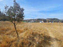 Buca Kırıklar Mevkinde Hisseli Satılık 4800m Tarla Tapudan Satış