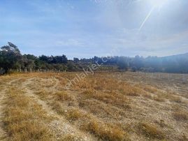 Buca Kırıklar Mevkinde Hisseli Satılık 4800m Tarla Tapudan Satış