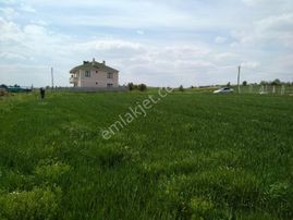 Sahibinden Pınarhisar Osmancık Köyünde Müstakil Tapulu 2078 M2 Tarla