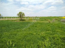 Sahibinden Pınarhisar Osmancık Köyünde Müstakil Tapulu 2078 M2 Tarla