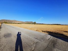 Dikili Bahçeli Mahallesinde Satılık Yatırımlık Tarla