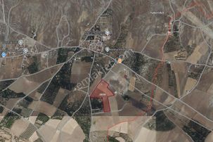 Coldwell Banker Safir'den Bulgurlu Da Acil Satılık Tarla