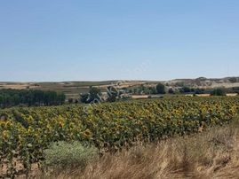 Acil Satılık 357 Metre