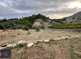 Eksper'den Adrasan Merkezine Yakın 1.850 M2 Yatırımlık Arazi !!