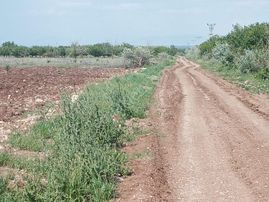 Akçadağ Dedeköyde Sulama Kanlının Yanında Satılık 18 Dönüm Sulu Tarla-bahçe