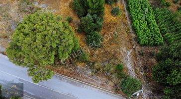 Çamyuva'da Denize Yakın Eşsiz Yatırım Fırsatı