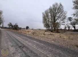 Küçükbürüngüz'de Gelişen Bölgede Yatırımlık Tarla