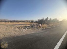 Subaşı'da Asfalt Yola Sıfır Yeşillikler İçinde Tarla