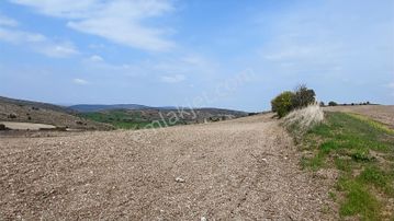 Ayaş Başbereket Mahallesi Yola Cephe 5351 M2 Satılık Hisse