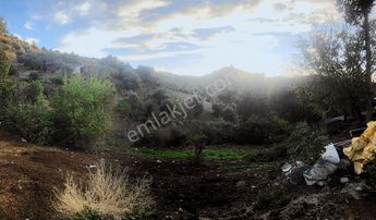 Efeler Alatepe Köyünde Satılık Arsa