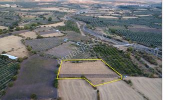 Manisa Halıtlı Da 6.450 M2 Tarla, Tek Tapu