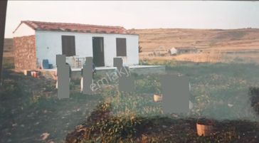 Balıkesir Ayvalık Cıplak Ada Da Satılık 3941 Metre Kare Tarla