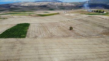 Vezirköprüde Şehir Merkezine 5 Dakika 12 Dönüm Satılık Tarla