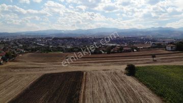 Vezirköprüde Şehir Merkezine 5 Dakika 12 Dönüm Satılık Tarla