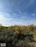 Hamzallı Da 7 Dönüm Tarla İçerisin De Satılık Müstakil Bahçe Evi