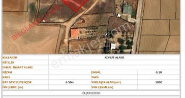 Ankara Polatlı Kuşçu Mevkii Kök Tapu Satılık Villa Arsası