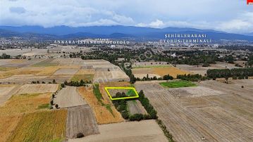 Bolu Kasaplar'da Otoban'a Yakın Yatırımlık Tarla