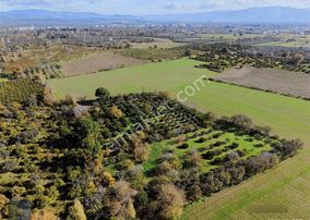 Mera Emlaktan Cennetayağı Mh İmara Yakın 12.850m2 Müstakil Tarla