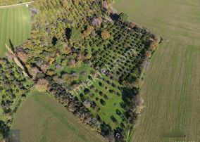 Mera Emlaktan Cennetayağı Mh İmara Yakın 12.850m2 Müstakil Tarla