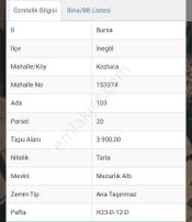 Bursa İnegöl Kozluca Mah Yolu Suyu Elektiriği Olan 3.900m2 Satılık Tarla