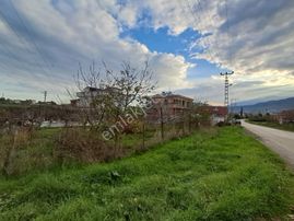 Samsun Atakum Çatalçam Ana Yola 1000 Mt 881 M2 Acil Satılık Arsa