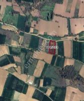 Bursa İnegöl Kozluca Mah Yolu Suyu Elektiriği Olan 4.150m2satılık Tarla