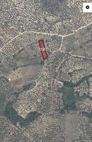 Remax Leon Trilye ' De 1072 M2 Satılık Zeytinlik