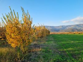 Fevziye Ovasında Yol Su Sorunu Olmayan 880 M² Arazi