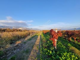 Fevziye Ovasında Yol Su Sorunu Olmayan 880 M² Arazi