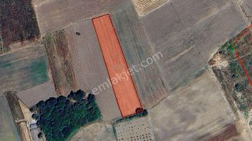 Balabancık'ta Top Sahası Gibi Dümdüz, Yolu Olan Yatırımlık Tarla