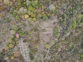 Jasse'den Satılık Tarla